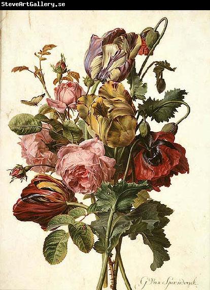 Gerard van Spaendonck Bouquet of Tulips, Roses and an Opium Poppy, with a Pale Clouded Yellow Butterfly, a Red Longhorn Beetle and a Sevenspotted Ladybug